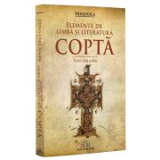 Elemente de limba si literatura copta