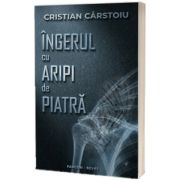 Ingerul cu aripi de piatra