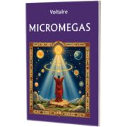 Micromegas