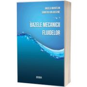 Bazele mecanicii fluidelor