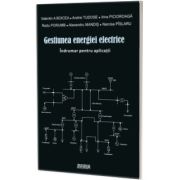Gestiunea energiei electrice