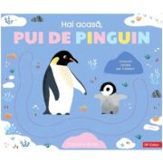 Hai acasa, pui de pinguin!