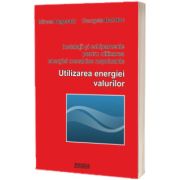 Instalatii si echipamente pentru utilizarea energiei mecanice nepoluante