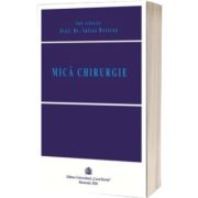 Mica chirurgie