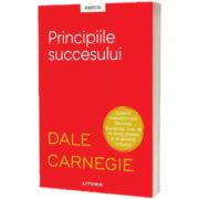 Principiile succesului