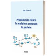 Problematica rutarii in retelele cu comutare de pachete