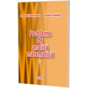 Probleme de analiza matematica