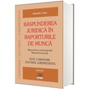 Raspunderea juridica in raporturile de munca