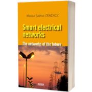 Smart electrical networks
