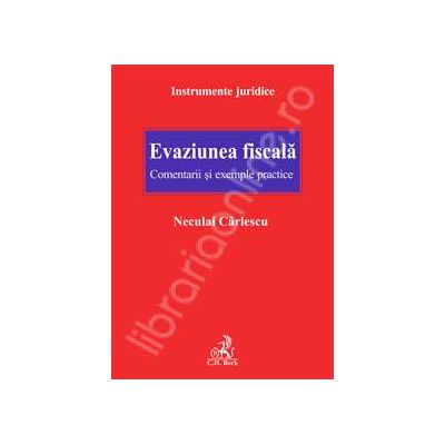 Evaziunea fiscala. Comentarii si exemple practice