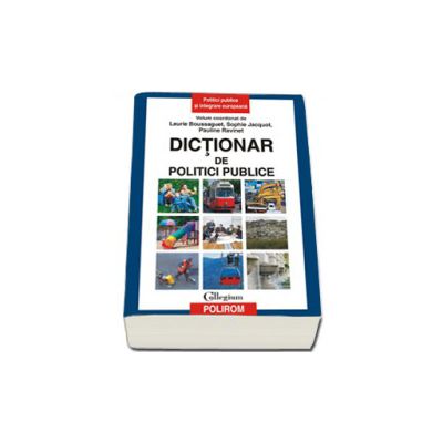 Dictionar de politici publice