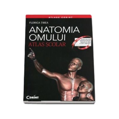 Anatomia omului - Atlas scolar (Editie revizuita) - Florica Tibea