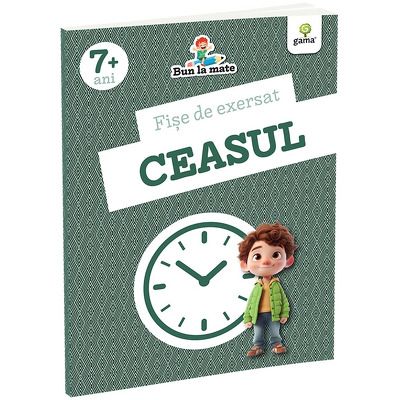 Fise de exersat CEASUL