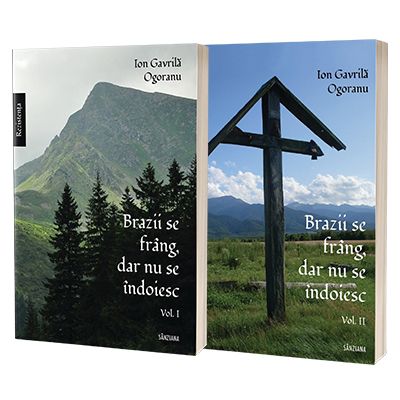 Brazii se frang dar nu se indoiesc