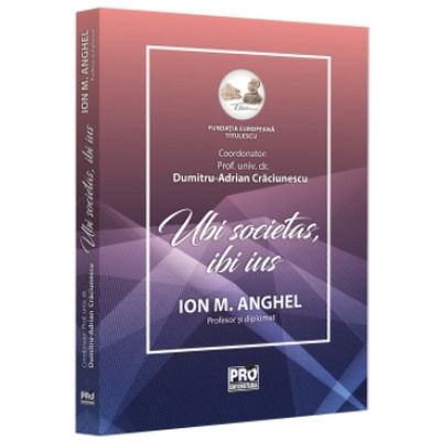 Ion M. Anghel - profesor si diplomat
