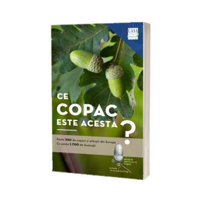 Ce copac este acesta?