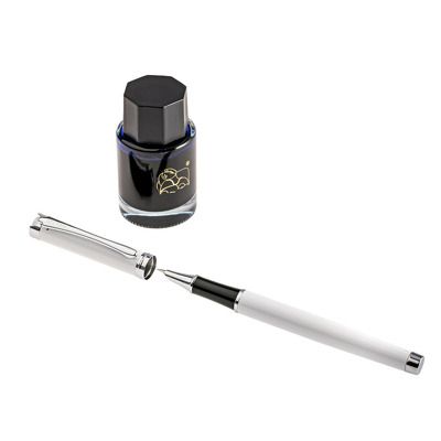 Set Stilou cu Calimara Picasso 698W