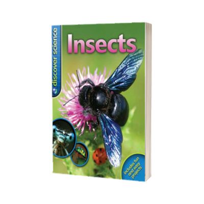 Insects
