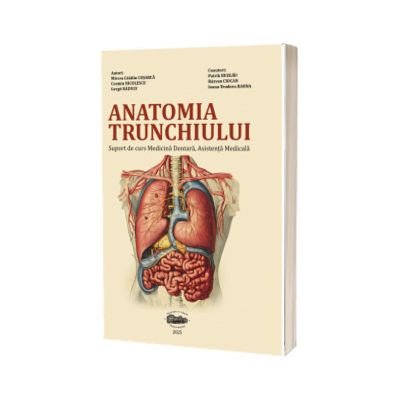 Anatomia trunchiului