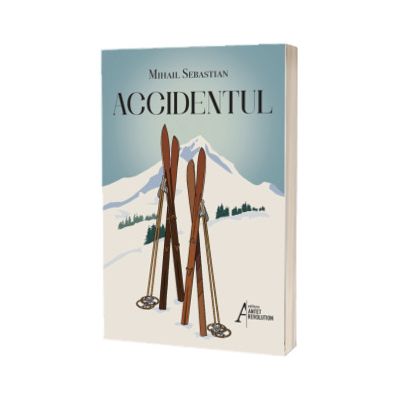 Accidentul