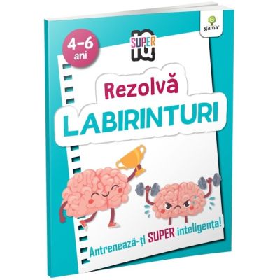 Rezolva labirinturi