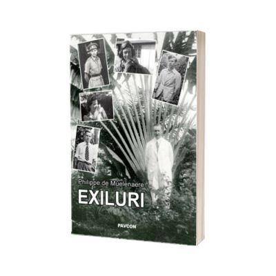 Exiluri