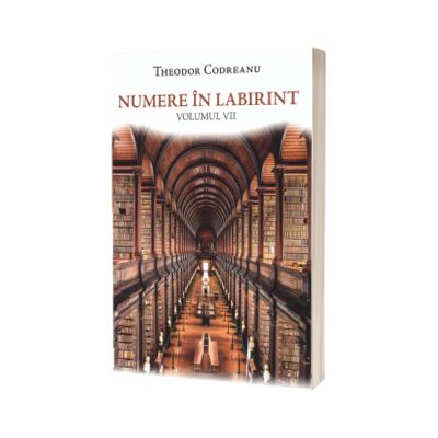 Numere in labirint