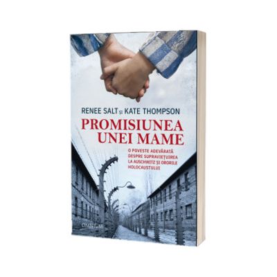 Promisiunea unei mame