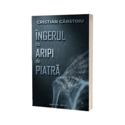 Ingerul cu aripi de piatra